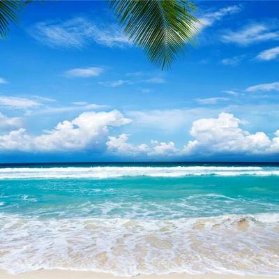 49图库资料免费大全资料澳门app下载