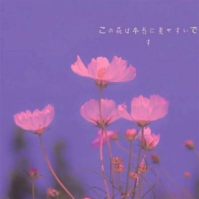 澳门新莆京游戏大厅下载手机版