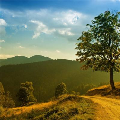 开元appapp下载截图