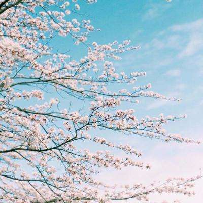 星空下载站官网app下载截图